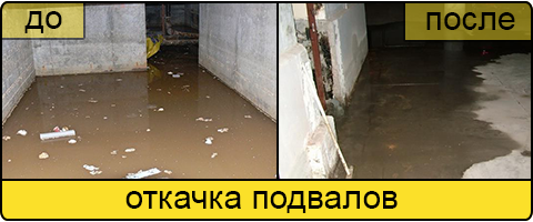 Услуга ассенизаторов в Балашихе